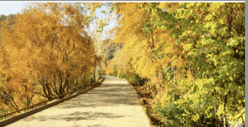 康都物業(yè)維一柳岸11月份工作簡報(bào)